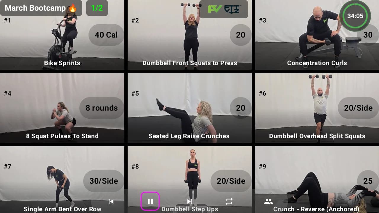 Fit Viz: Workout Display showing 9-station bootcamp with exercise demos, timers, and reps